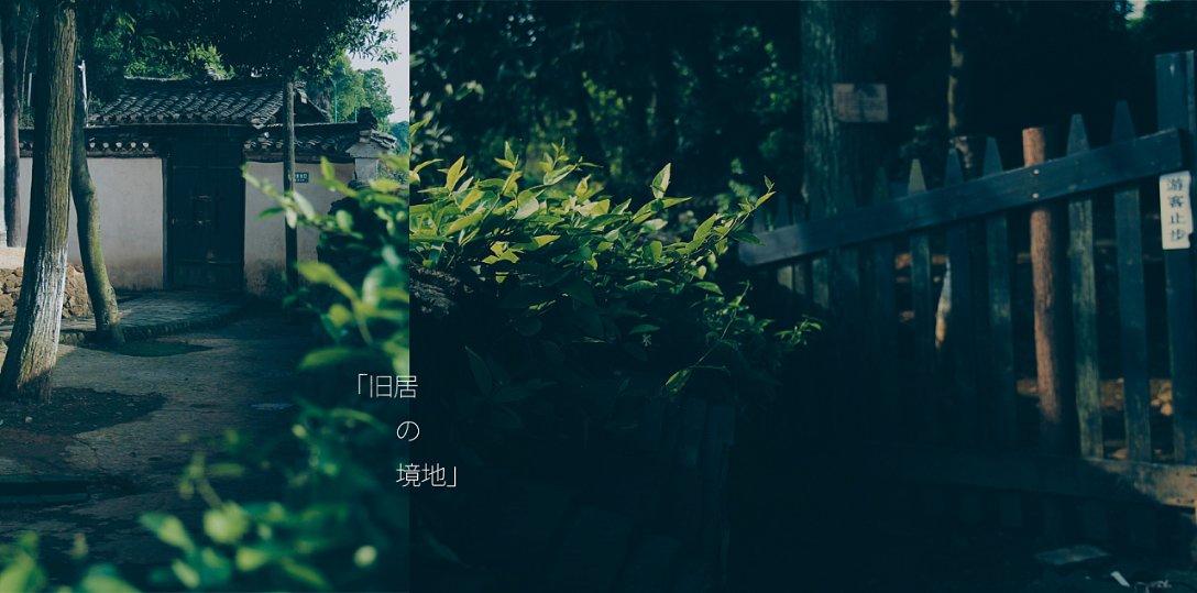 逃出蜜蜂岛